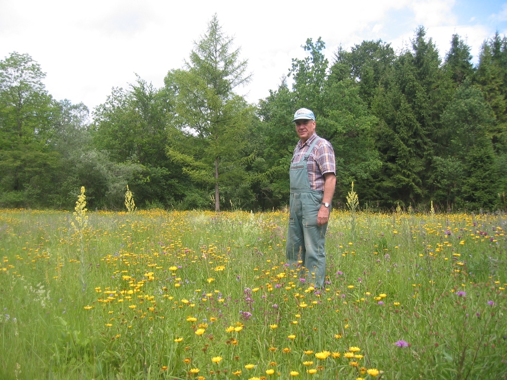 Mitglied des Landschaftspflegeverbands AÖ auf eine Blumenwiese