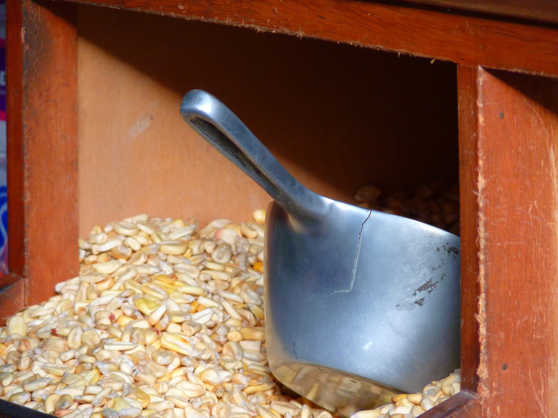 Maisvorrat mit einer silbernen Schaufel