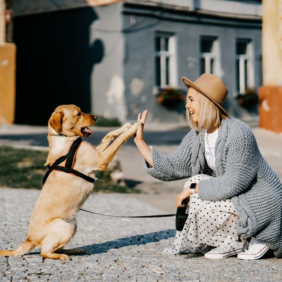 Frau geht mit Hund zwischen den Häusern gassi und spielt mit dem Hund