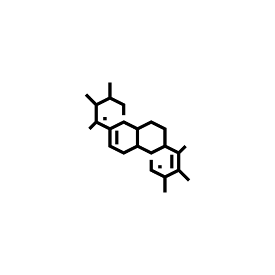 Molekular Icon