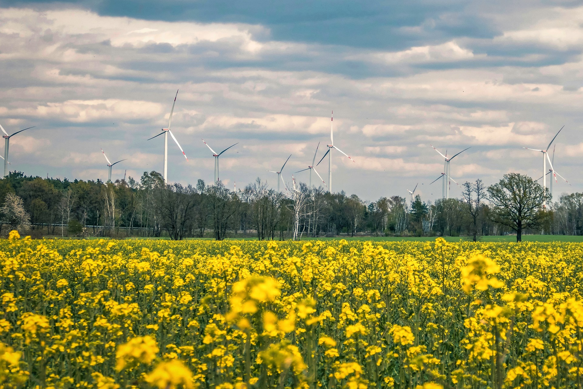 Umweltzustandsbericht
